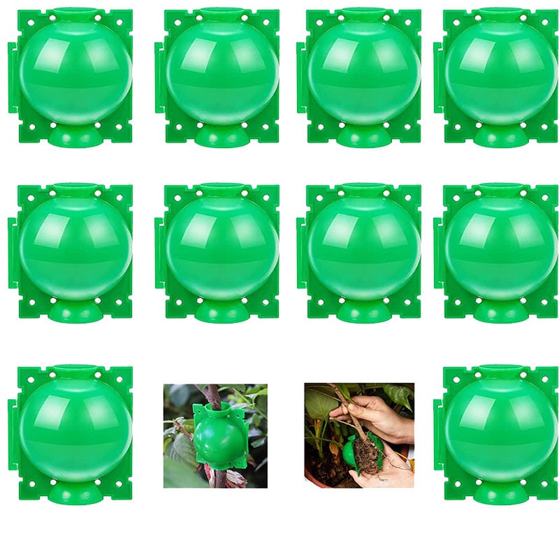 Zestaw 10 pudełek do ukorzeniania i wzrostu roślin, kule do rozmnażania roślin (mały rozmiar/zielony)