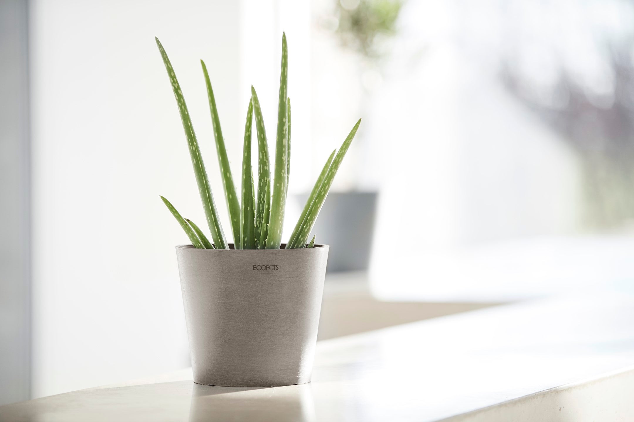 Ecopots Amsterdam 20 Pot de fleurs - L 20 cm x H 17,1 cm - Taupe - Intérieur et extérieur - 5