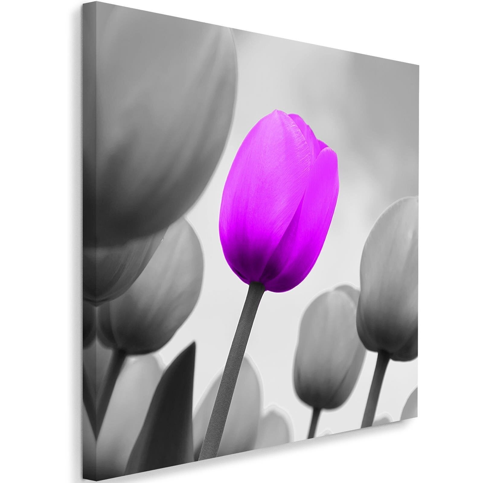 Obraz na płótnie, Fioletowy tulipan na szarym tle 40x40