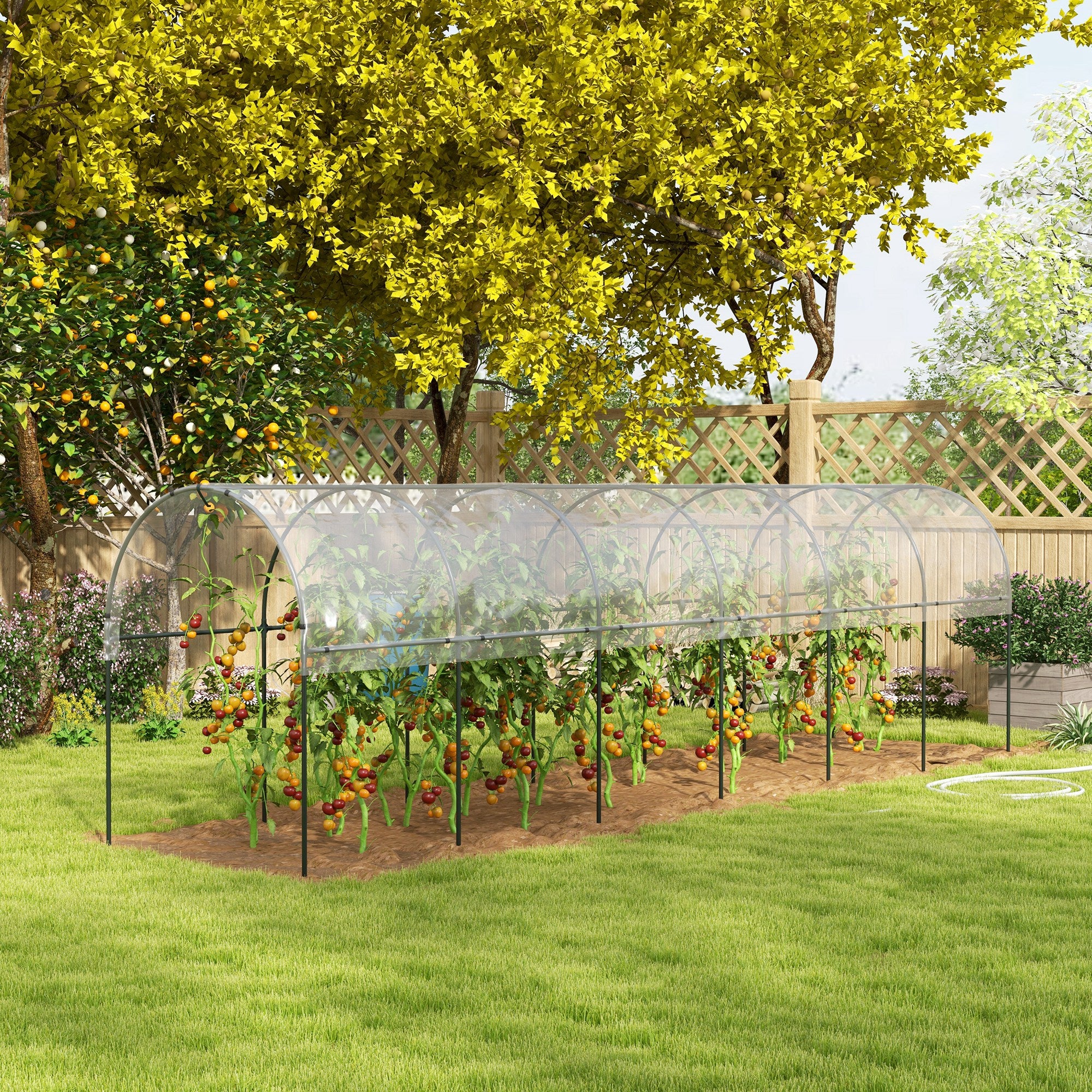 Serre de jardin serre à tomates 7 arceaux en acier bâche en plastique 6 x 1,23 x 1,71 m vert - 4