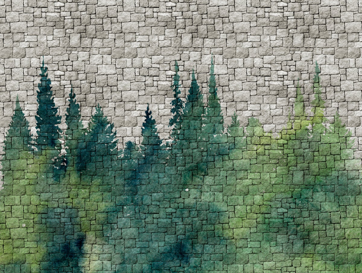 Fototapeta kamień zielonymIszarym - 371 x 280 cm - ONE WALL ONE ROLE