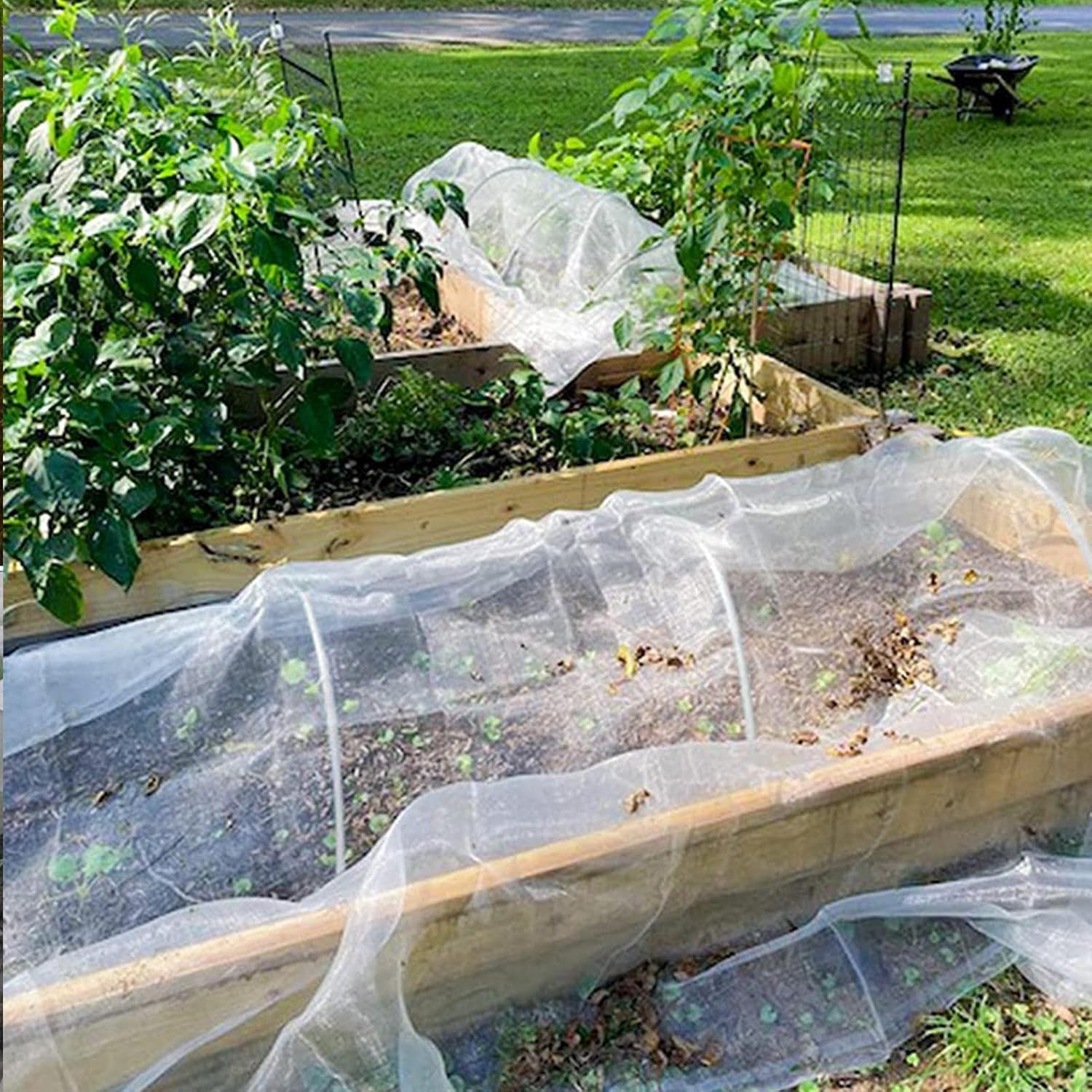 Kit de 30 Arceaux Serre Tunnel – Cerceaux Jardin en Fibre de Verre pour Culture Légumes & Protection - 5