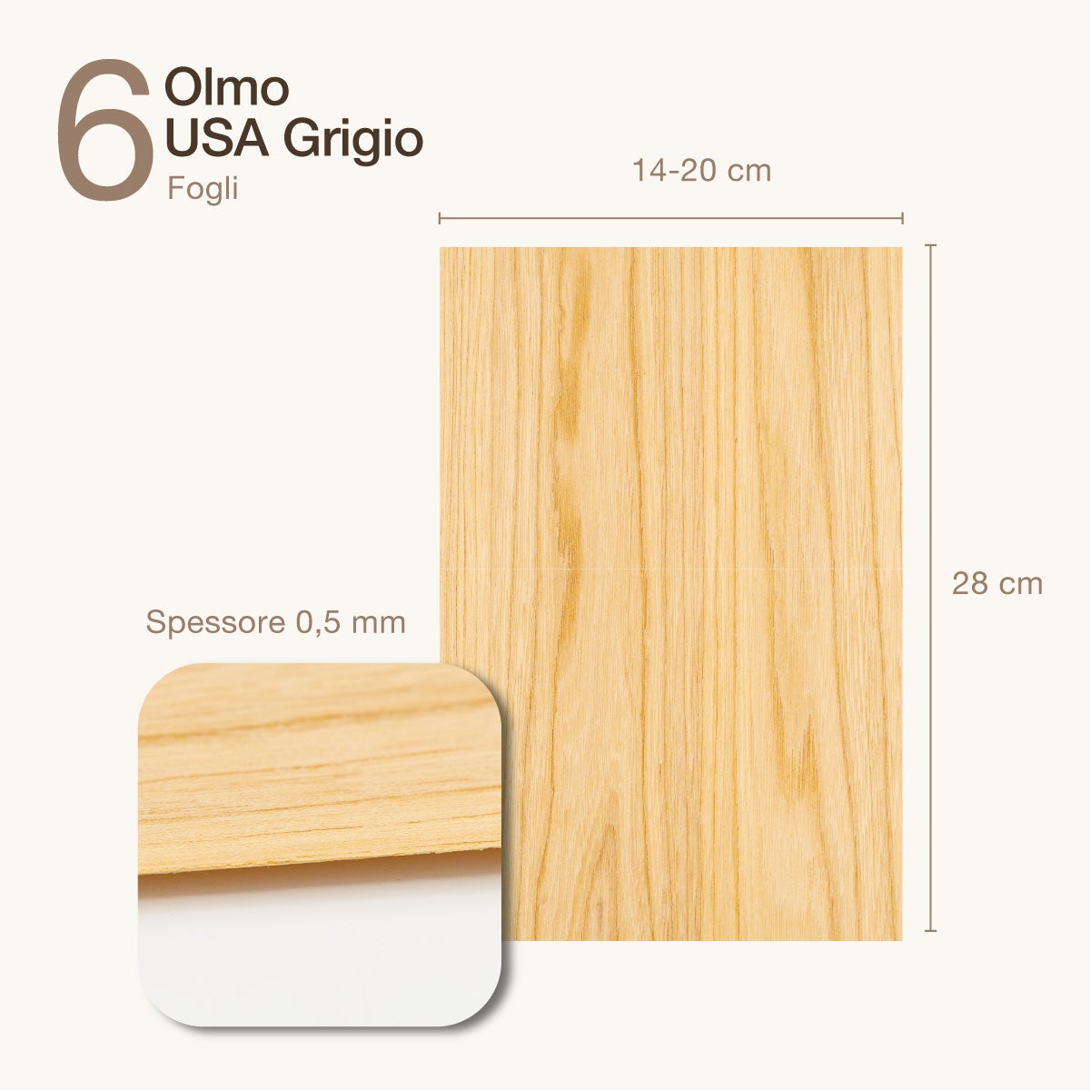6 FOGLI DI IMPIALLACCIATURA IN LEGNO DI OLMO GRIGIO - 2