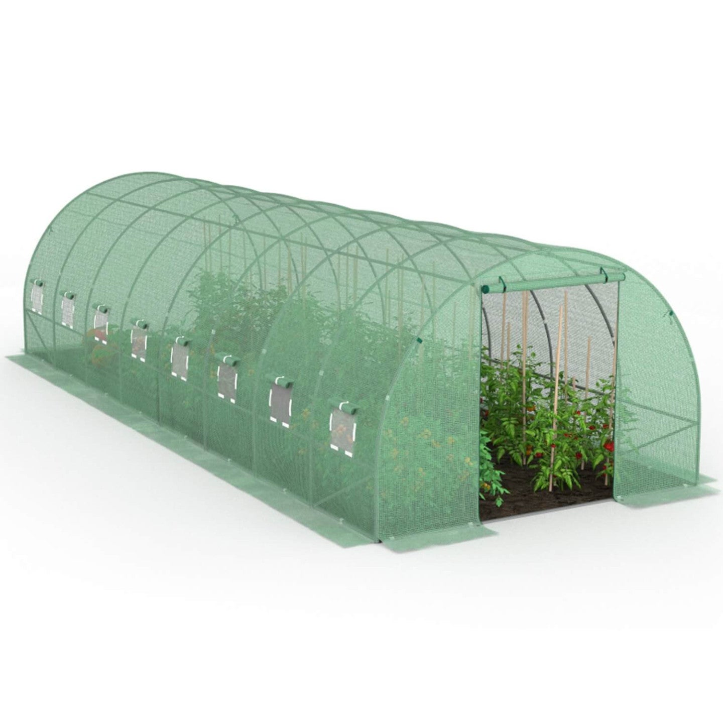 Serre de jardin tunnel 24m² 8 x 3 x 2 m acier galvanisé + bâche anti-UV avec porte et fenêtres DES ANDES verte - 2