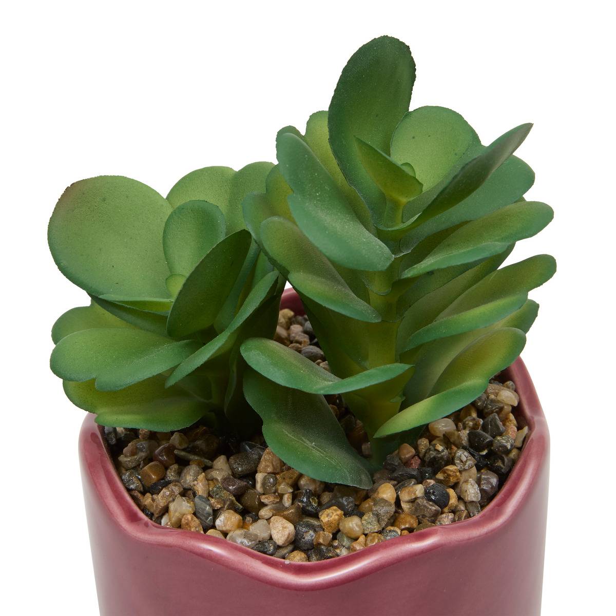 Plante Artificielle En Pot Cheri 13x10cm Vert - Atmosphera Créateur d'intérieur - 4