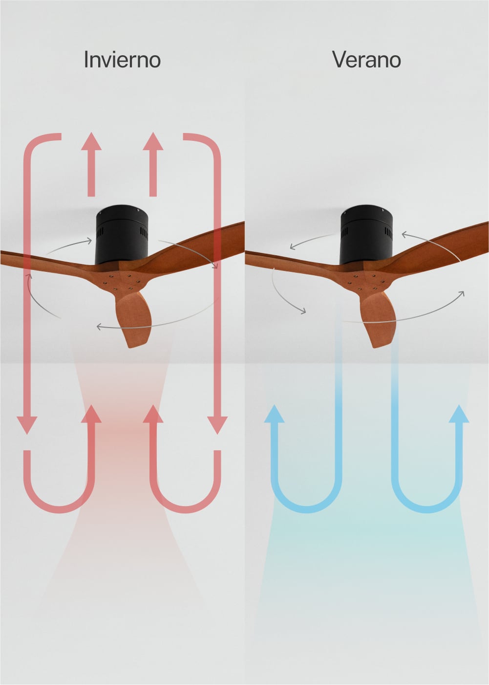 CREATE - WIND CALM M - Ventilateur de plafond silencieux 40W avec pales techniques en ABS Ø132cm sans eclaraige avec contrôleur mural - 6