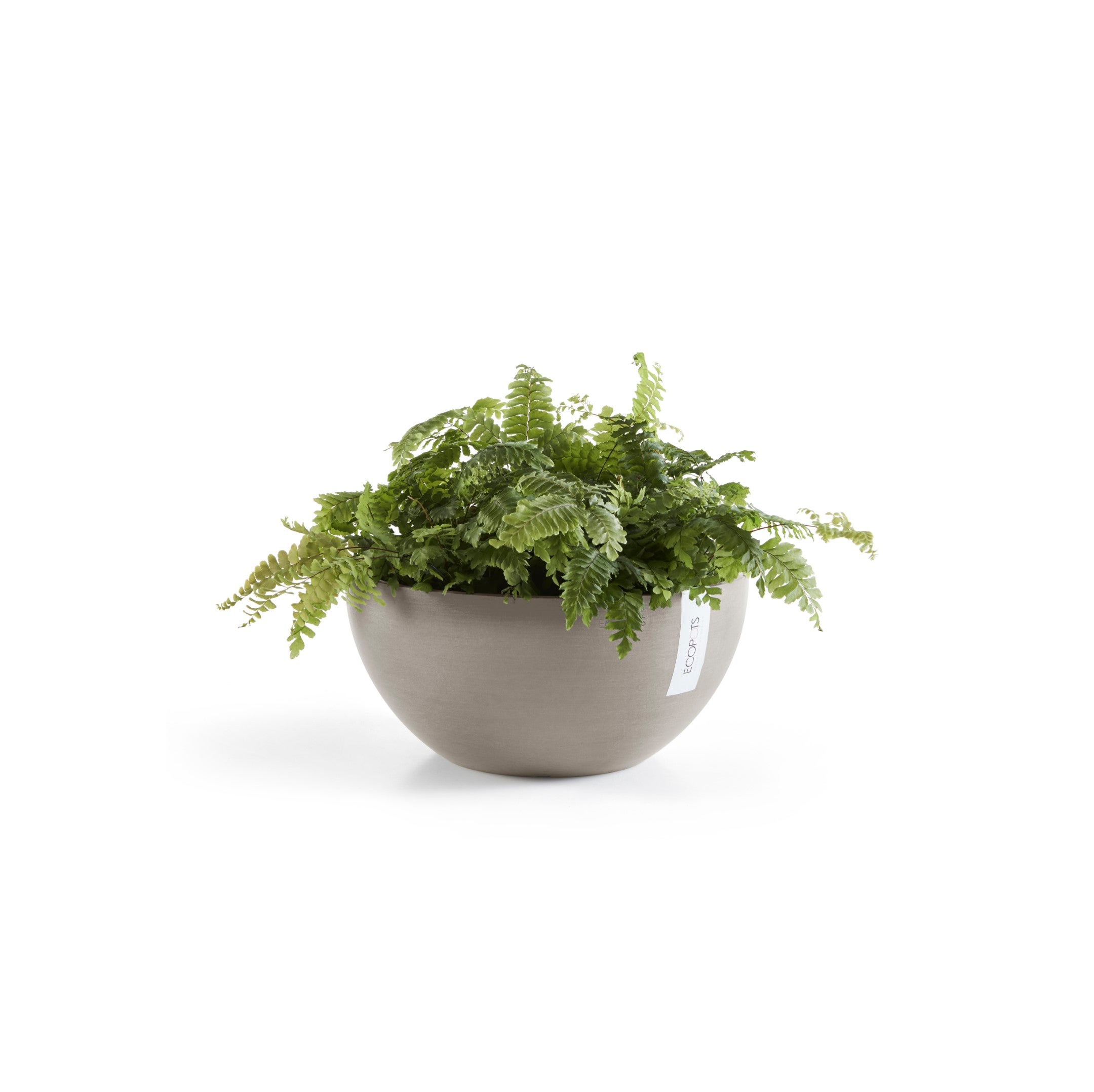 Soucoupe ronde Ecopots 30 pour pot de fleurs - L 28,7 cm x l 28,7 cm x H 3 cm - Gris foncé - Intérieur et extérieur - 2
