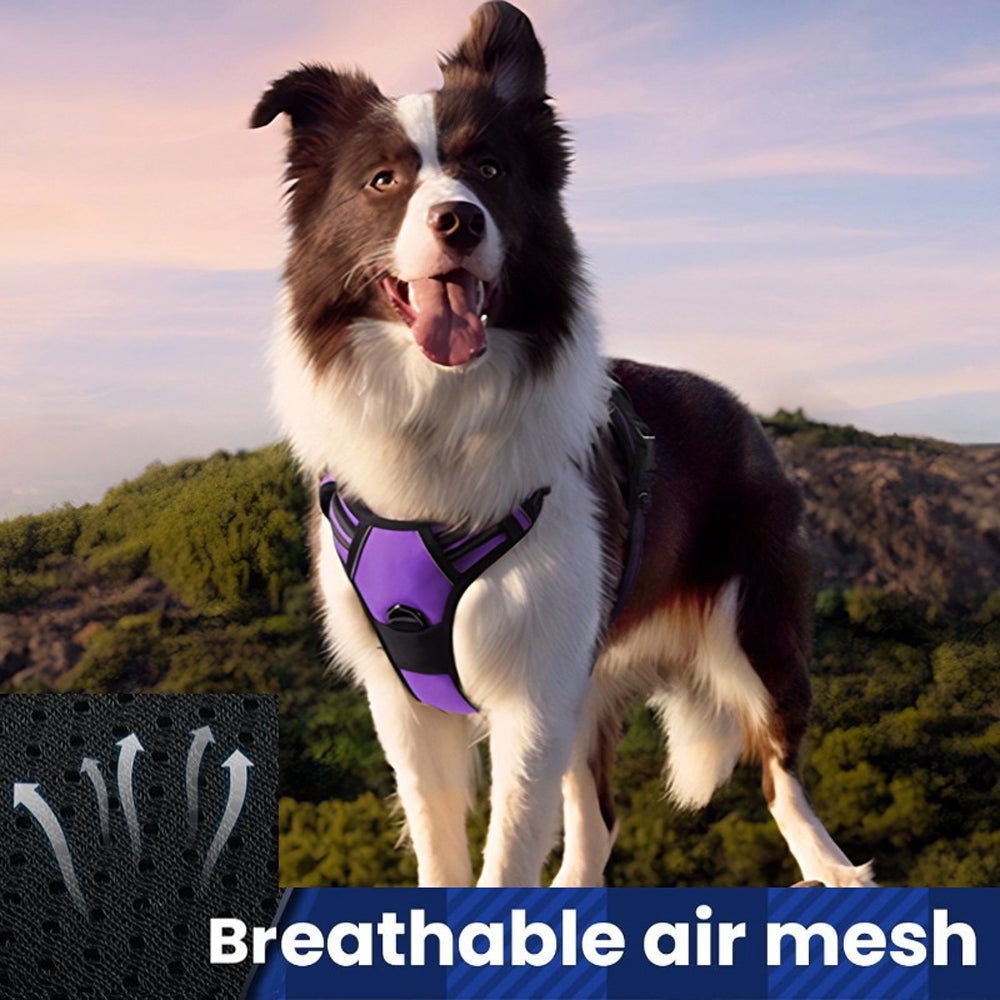 Coleira peitoral grande para cães - Tamanho grande, preta - Ajustável, acolchoada e anti-puxão, ideal para correr e passear. - 3