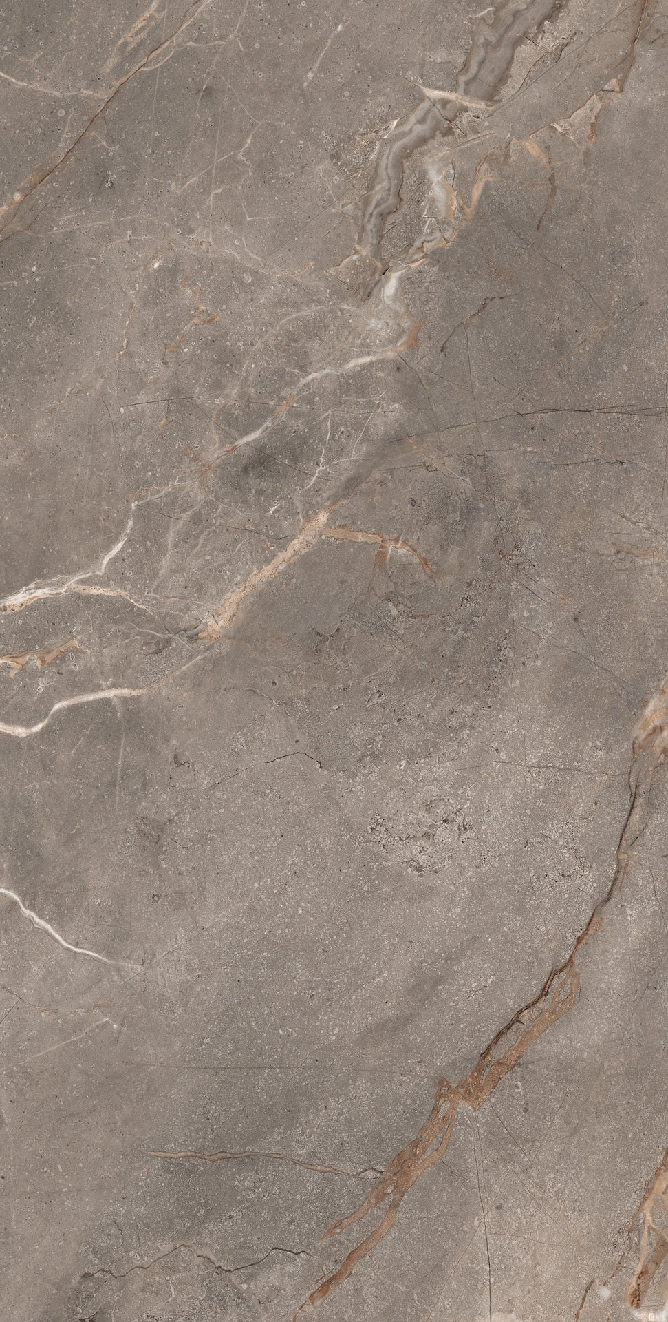 Carrelage sol / mur effet marbre beige MADRAN MINK l.60 x L.120 cm Mat ...