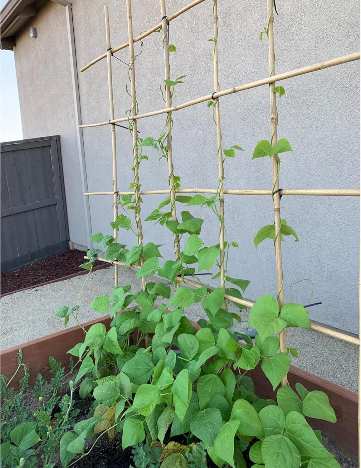 Lot de 40 piquets de jardin en bambou pour plantes de jardin, piquets en bois naturel pour plantes de tomates, haricots, plantes en pot (45 x 0,8 cm) - 4