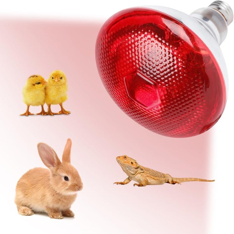 Lampa grzewcza na podczerwień 250 W, gwint E27, lampa grzewcza na podczerwień do hodowli gadów, kur, świń, psów