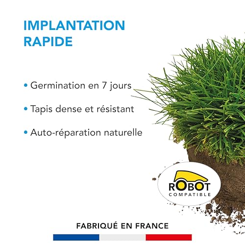 BARENBRUG - Gazon Implantation Rapide - Germination en 7 Jours - Tapis Dense et Résistant - Autoréparation Naturelle - 15KG - 2