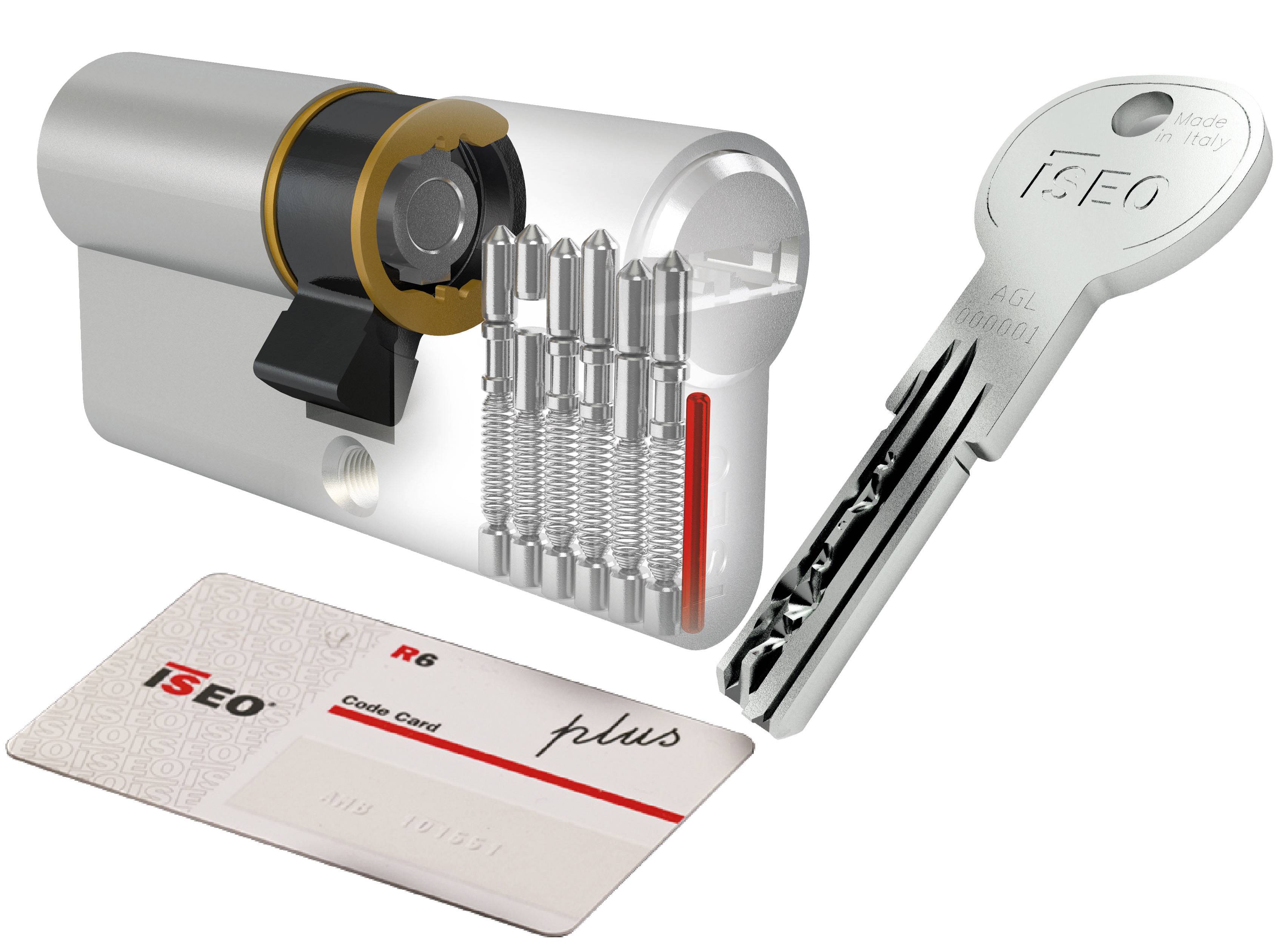 ISEO R6 PLUS CYLINDRE NICKEL 100 MM 35.10.55 (40- | Leroy Merlin