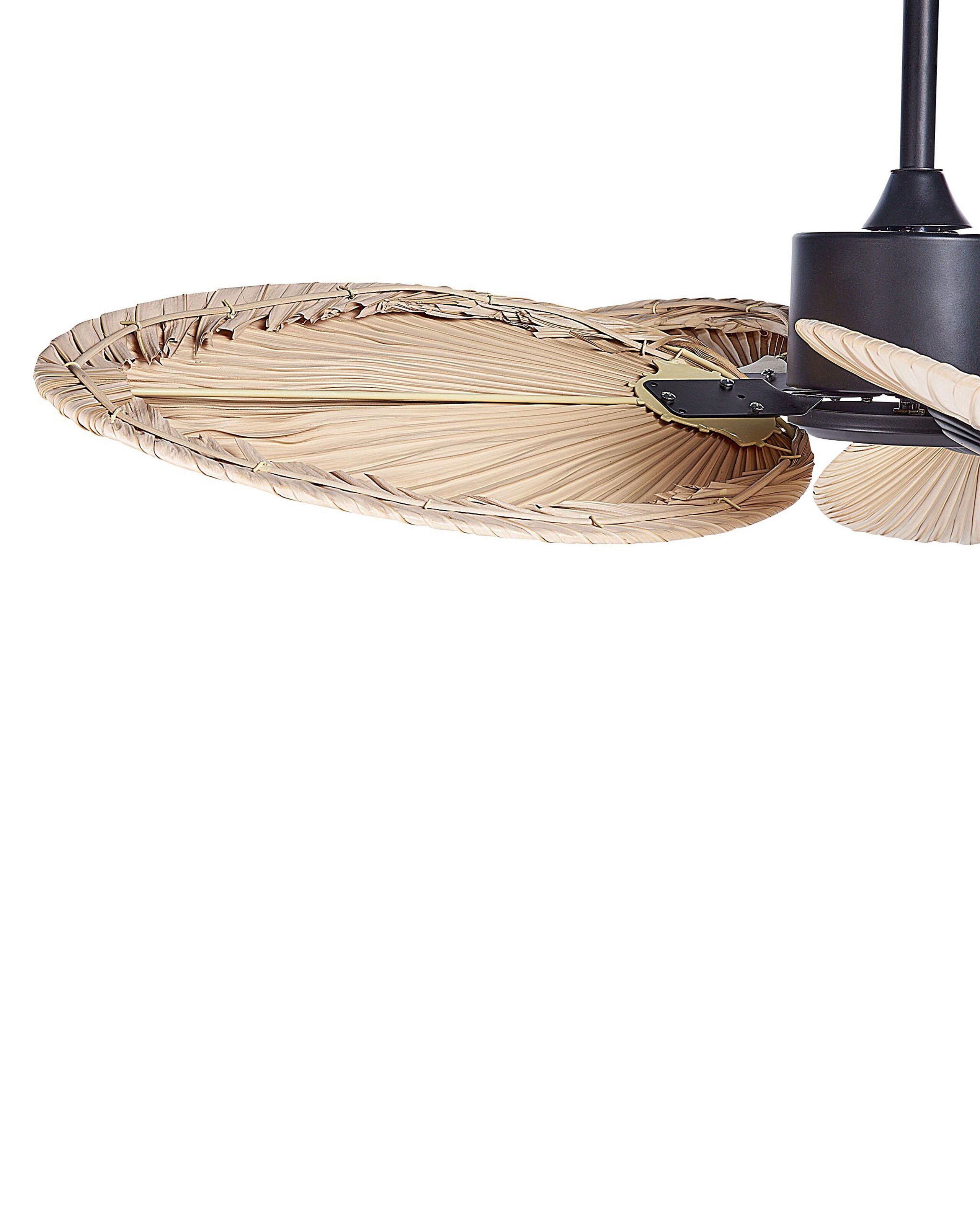 Ventilateur de plafond MAMMOTH Marron - 5