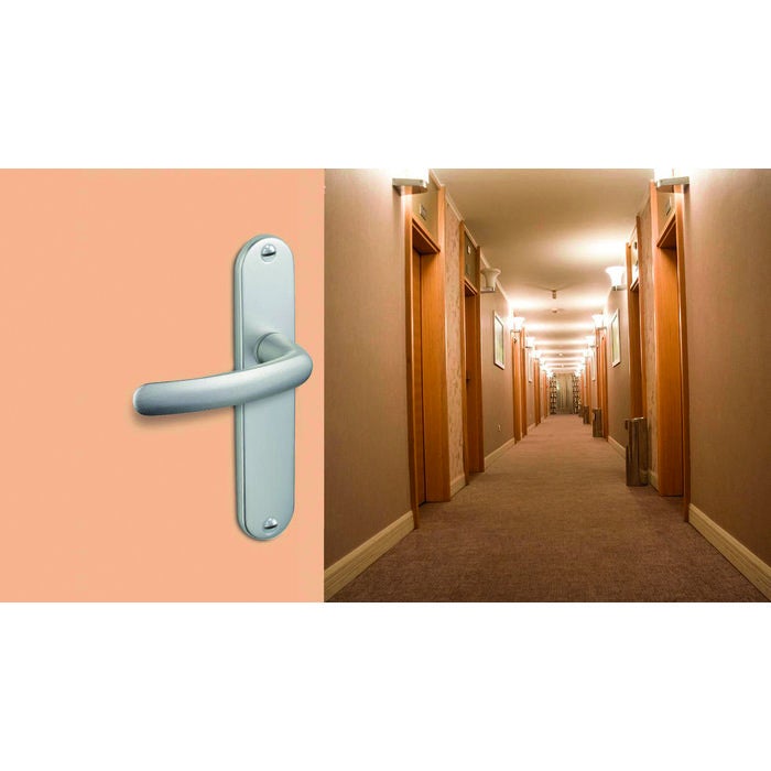 Poignée de porte intérieure - Budget - Vachette - Gris argent - Clé L - 165 mm - 3