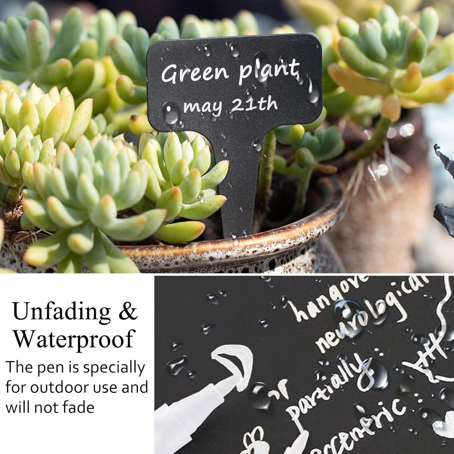 (100 pièces) Etiquette Jardin Exterieur Marqueurs en Plastique de Plantes Type T Plastique Etiquette Potager avec Stylo étanche Etiquetage (Noir） - 3
