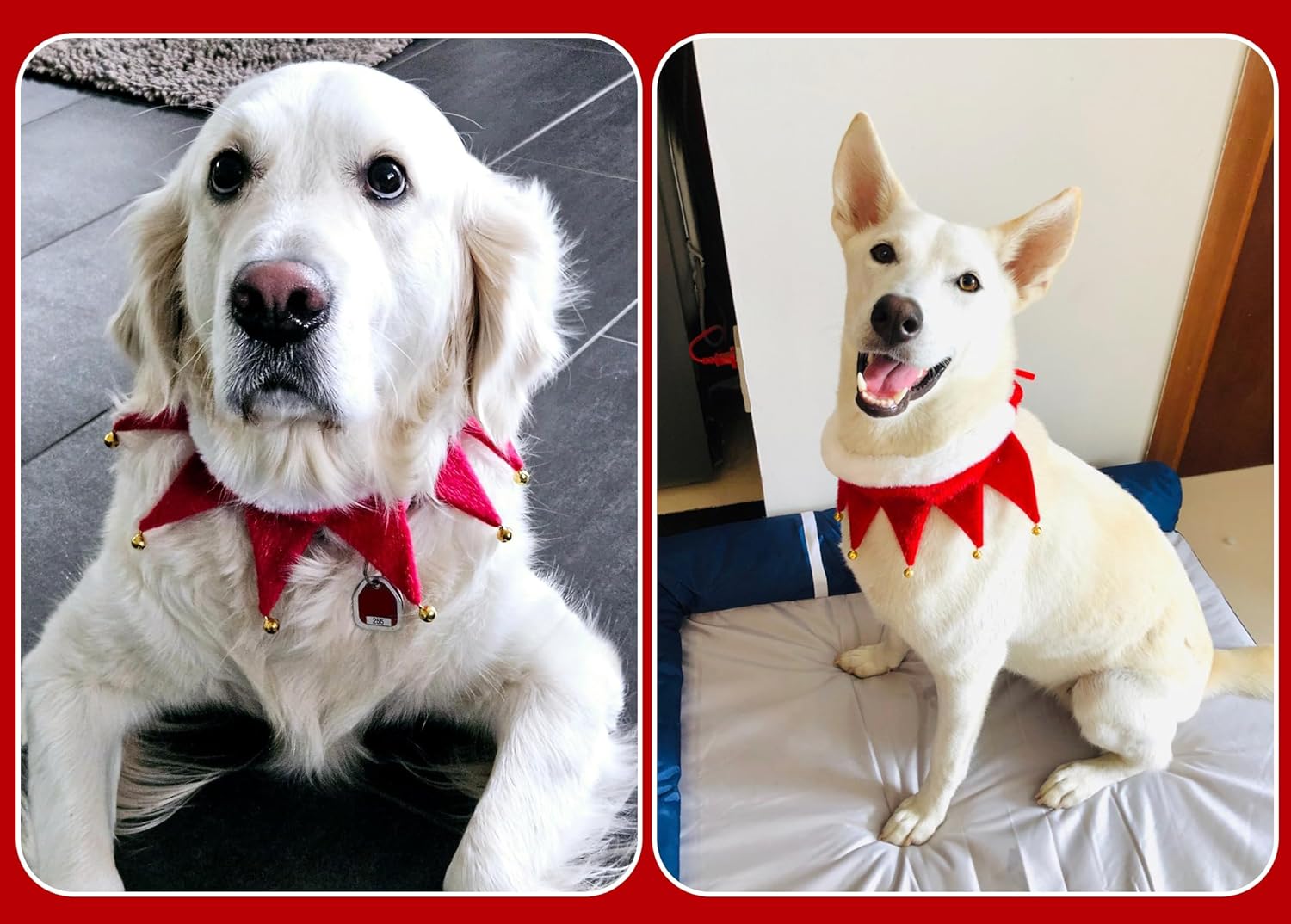 Collier de Noel Chien Chat, Colliers Costume Noël Écharpe Réglable pour Animaux de Compagnie, Cadeau Rouge Accessoire Vêtements - 5