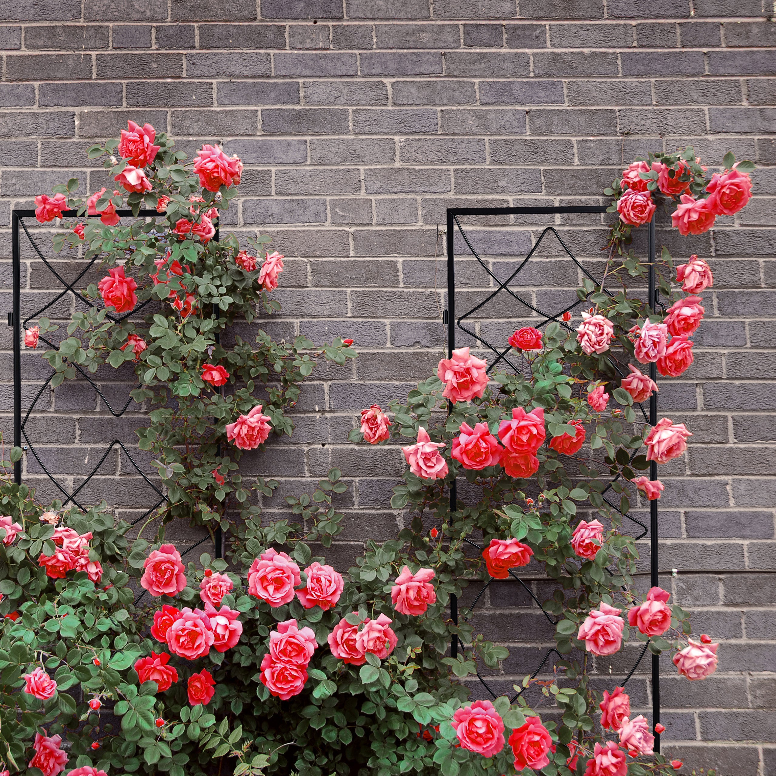 treillis de jardin, métal, lot de 3, à planter, support pour plantes grimpantes, 122x31 cm, jardin, noir, Relaxdays - 5