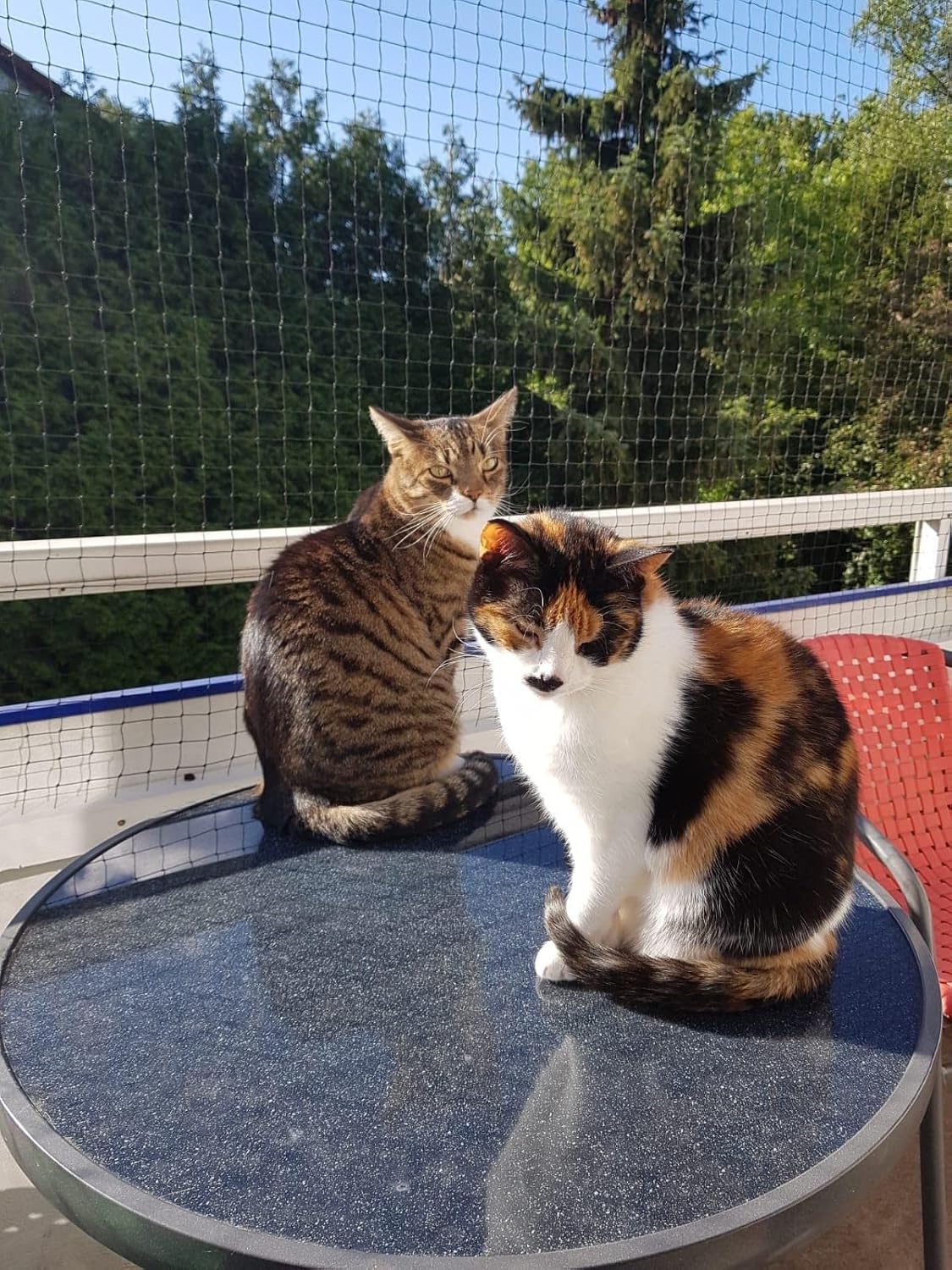 Filet de Protection pour Chat, 10x3m, Renforcé, Résistant aux Intempéries, Sécurise Balcon, Fenêtres et Terrasses - 4