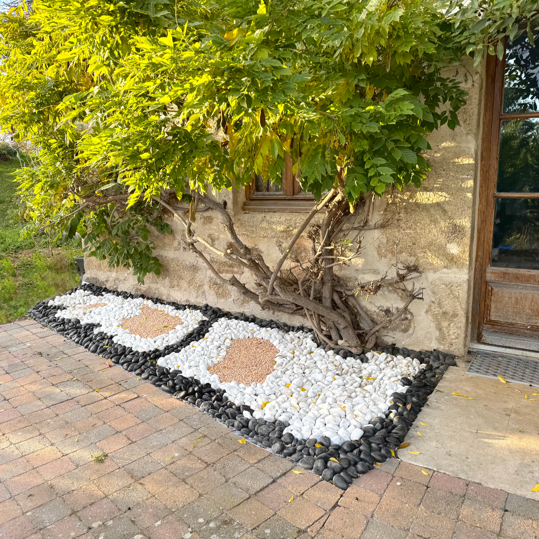 Rouleau géotextile - 1 x 10 m - 150g/m2 - feutre anti mauvaises herbes - aménagement paysager Unité - 5