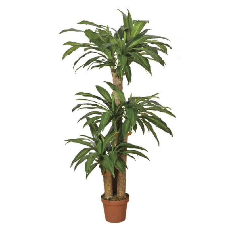 Plante Artificielle Dracaena 145cm avec pot | Plantes en plastique pour la décoration de jardin intérieur et extérieur - 2