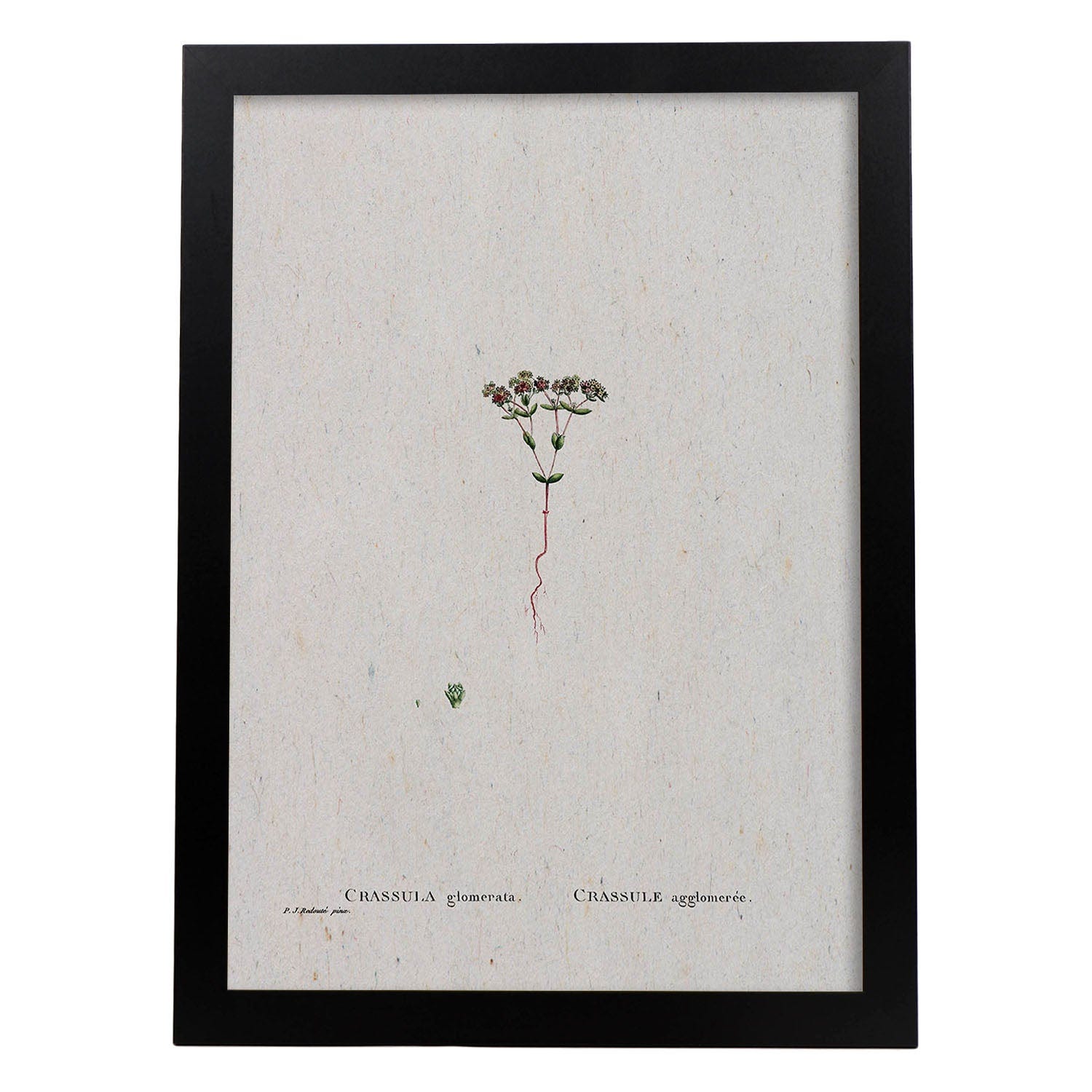 Cornice A Giorno Su Misura Fino A 100x160 Cm Senza Cornice Vetro Artificiale 2040000 - Foto 13