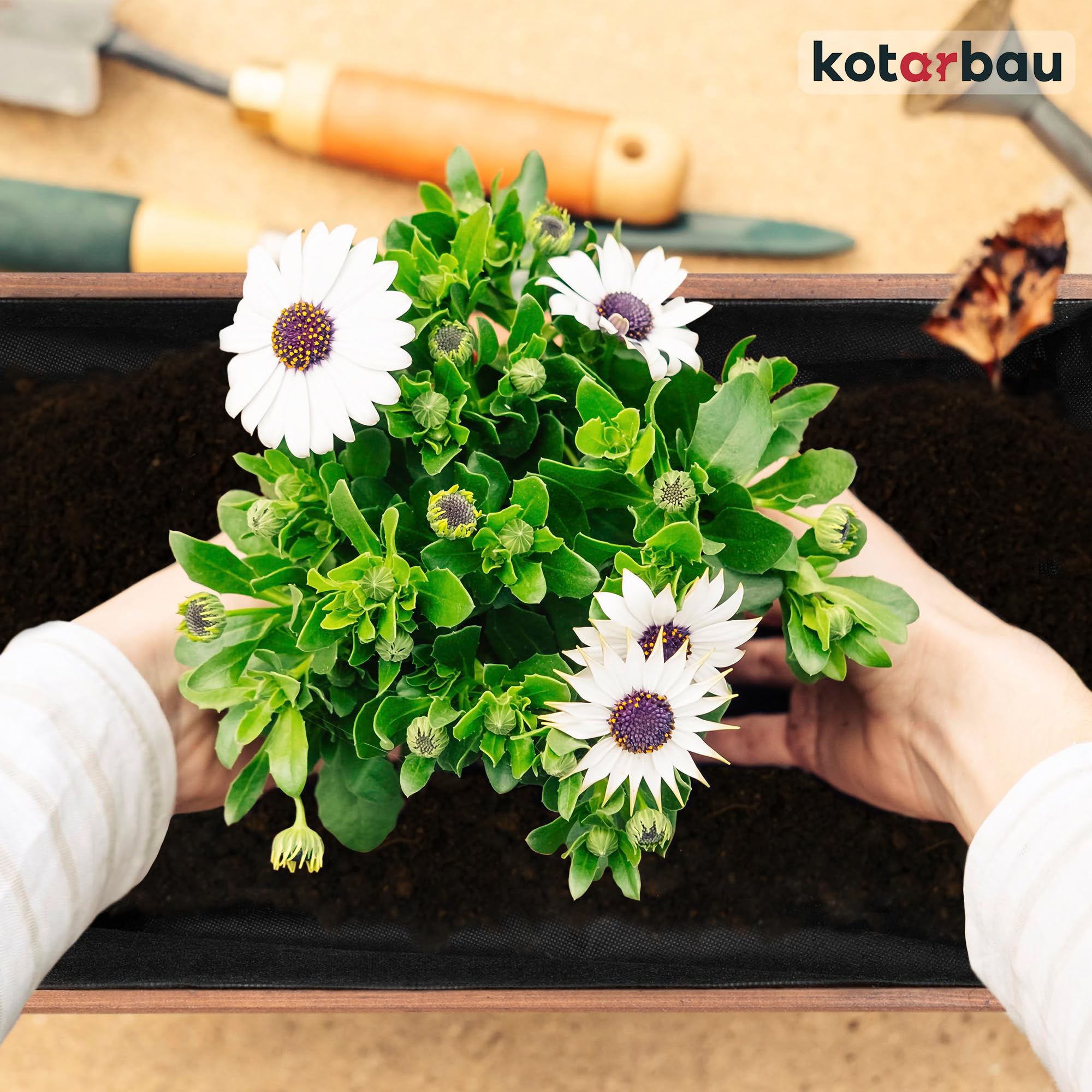 Pot de Fleurs en Bois 60 x 33 x 25 cm Jardinière en Pin Carbonisé Pot de Plantes Jardinière - Idéal pour Jardin Terrasse Balcon - Marron - KOTARBAU - 8