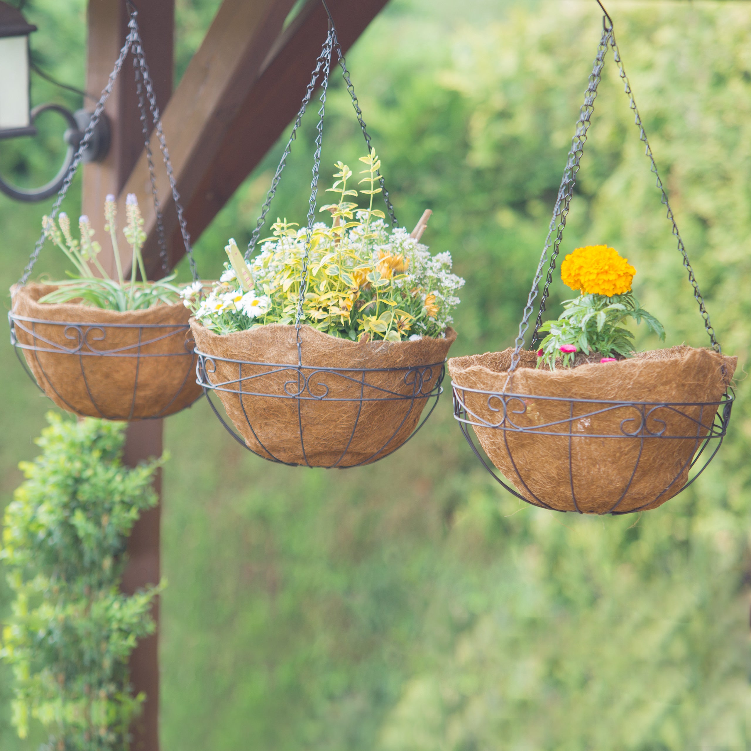 Lot de 3 suspension pour plantes, coco, 33 litres, avec chaîne, pot de 35 cm de diamètre, marron, Relaxdays - 2