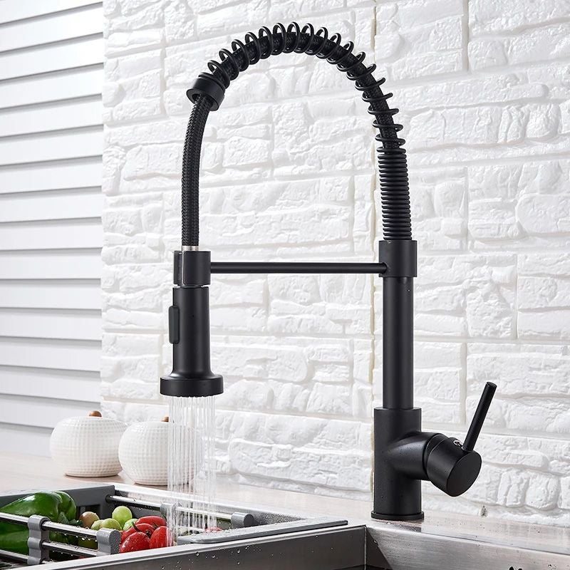 ROBINET DE CUISINE REA COLIN BLACK - 2