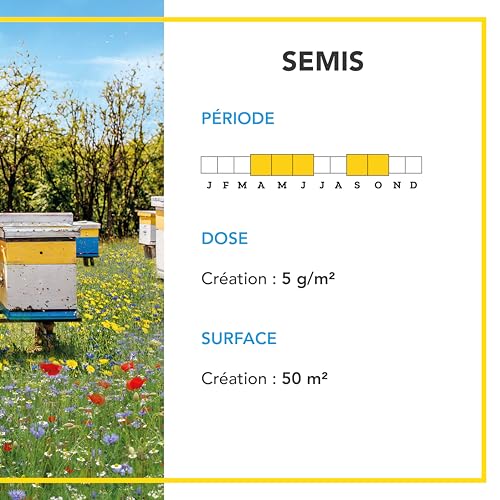 BARENBRUG - Mélange Pollinisateurs - Nectar et Pollen en Abondance - Attire Papillons et Insectes Pollinisateurs - Floraison Printemps/Été - 250G - 4