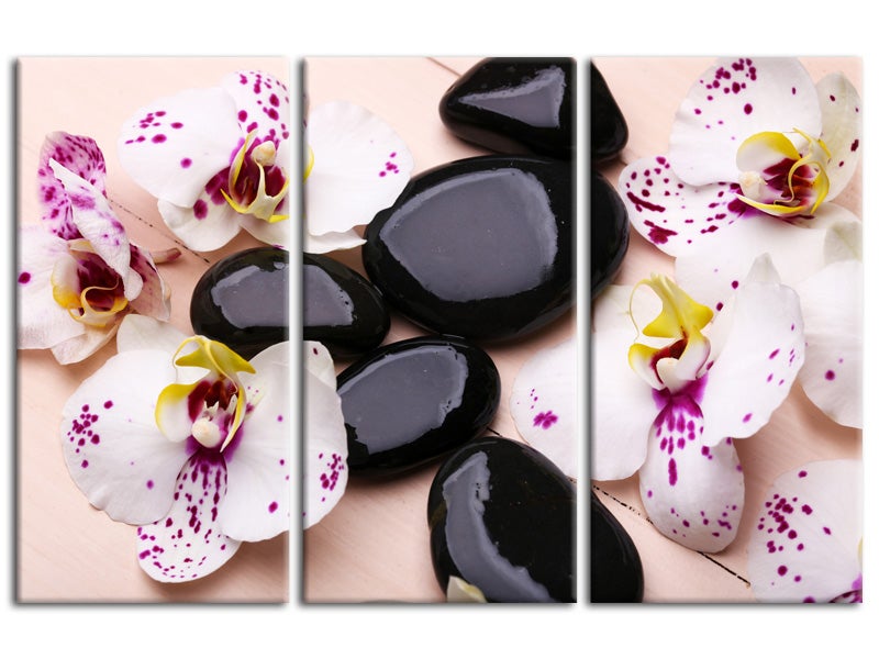 Tableau Décoratif Zen – Orchidée Sur Toile – Multicolore – Enfant/Adulte