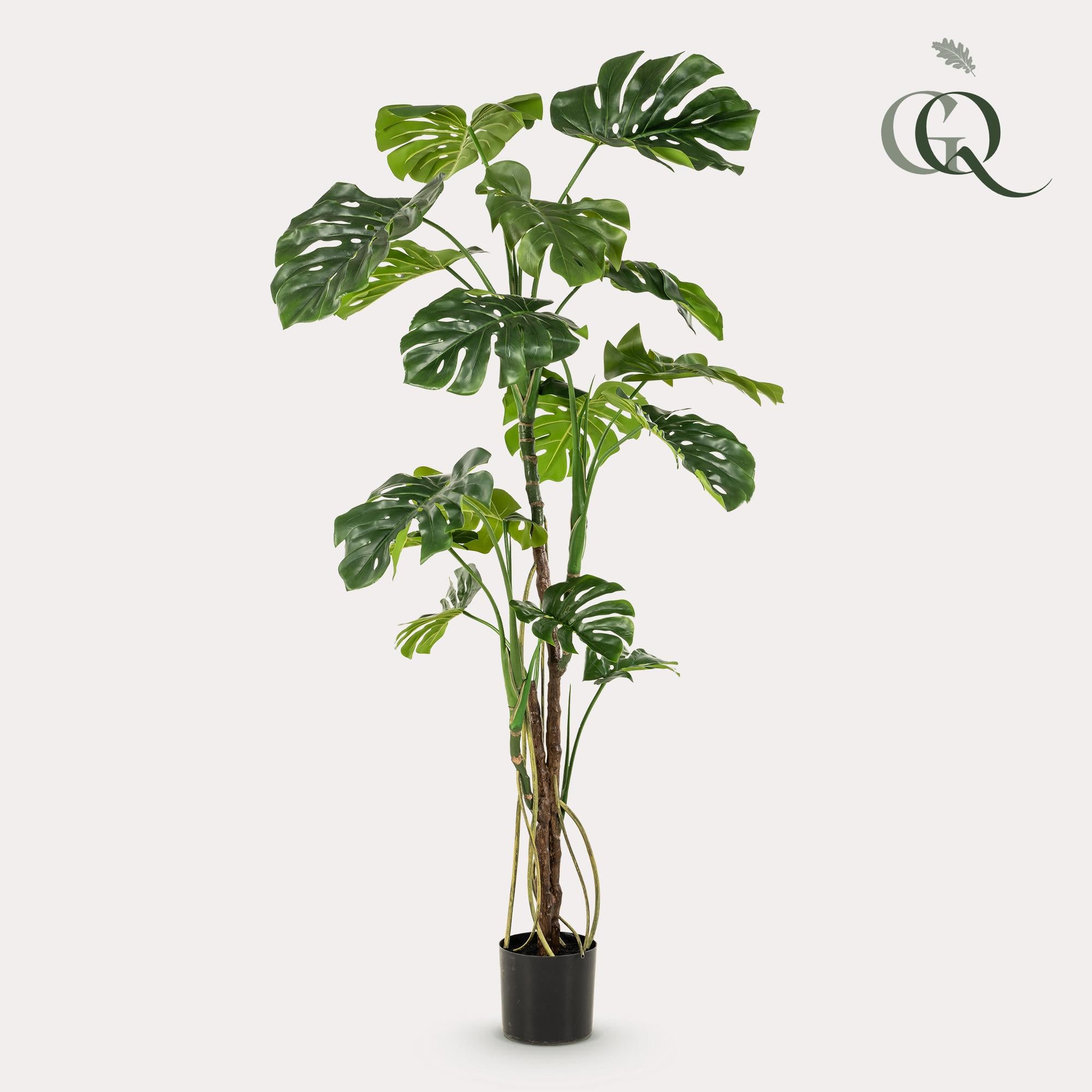Green boutiQ Sztuczna roślina Monstera – Liść dziurawy – 180 cm – Dekoracja wnętrz bez pielęgnacji