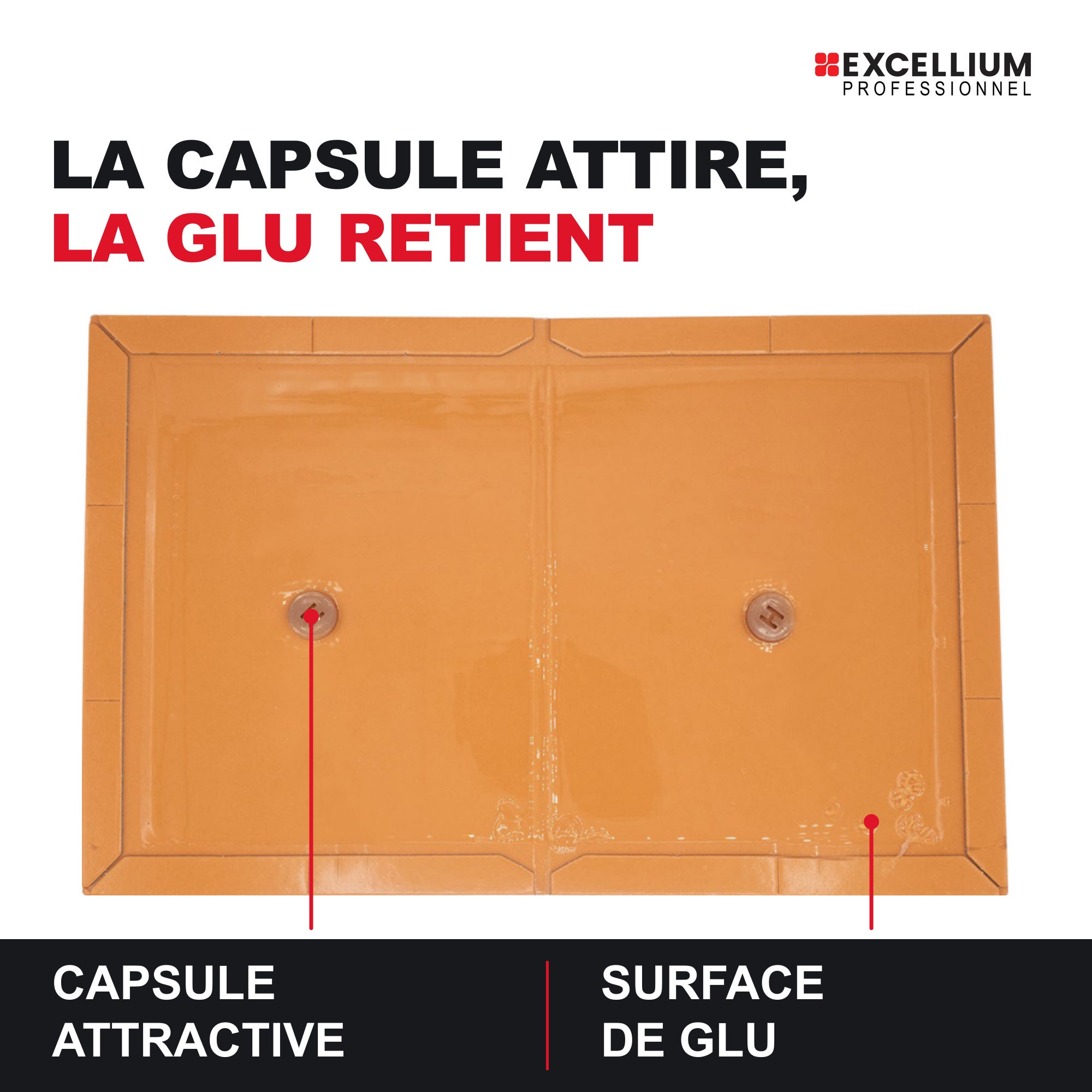 Plaques de glu rats et souris avec attractif, 2 plaques repliables ...