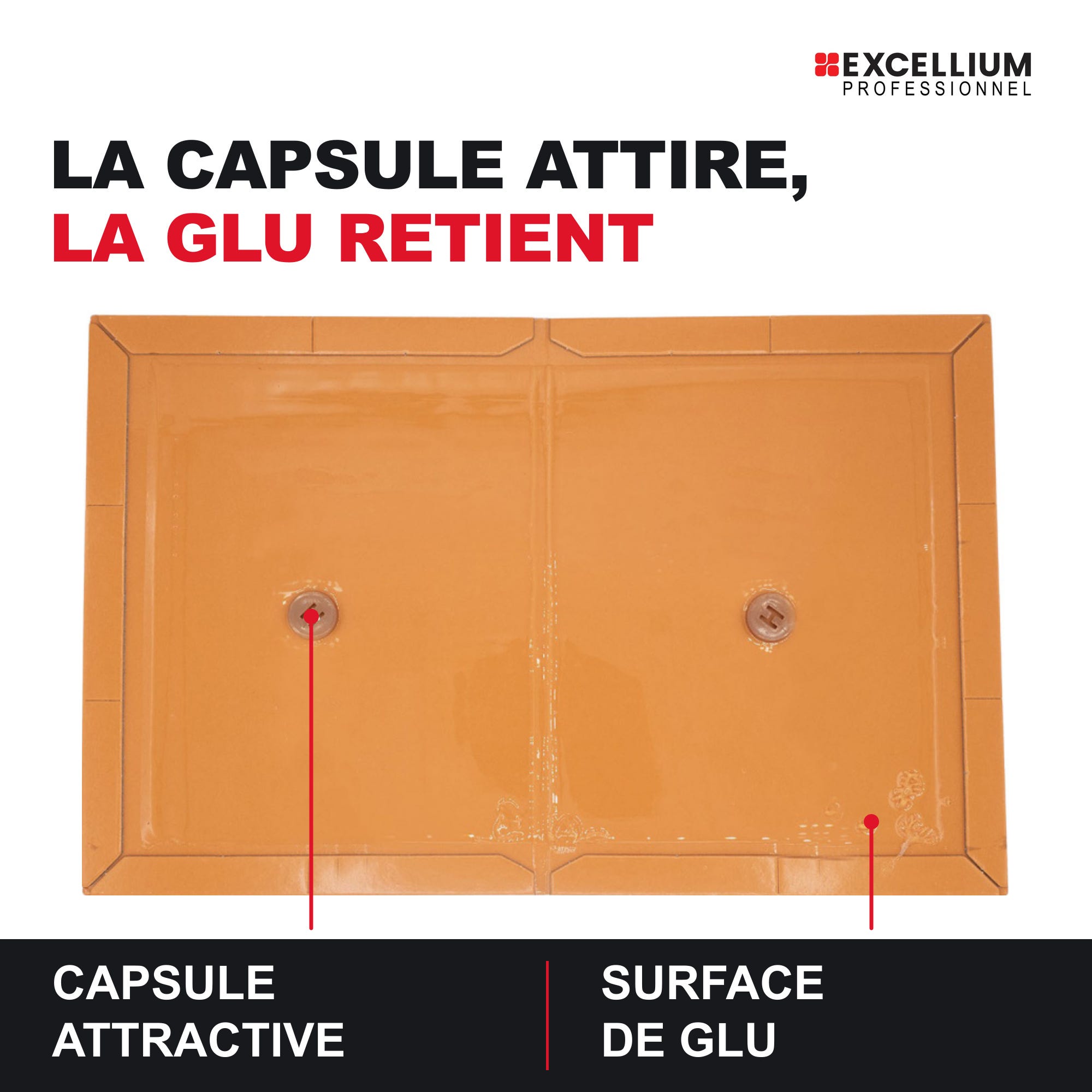 Produits Rats Plaques de glu rats et souris avec attractif, 2 plaques repliables ...