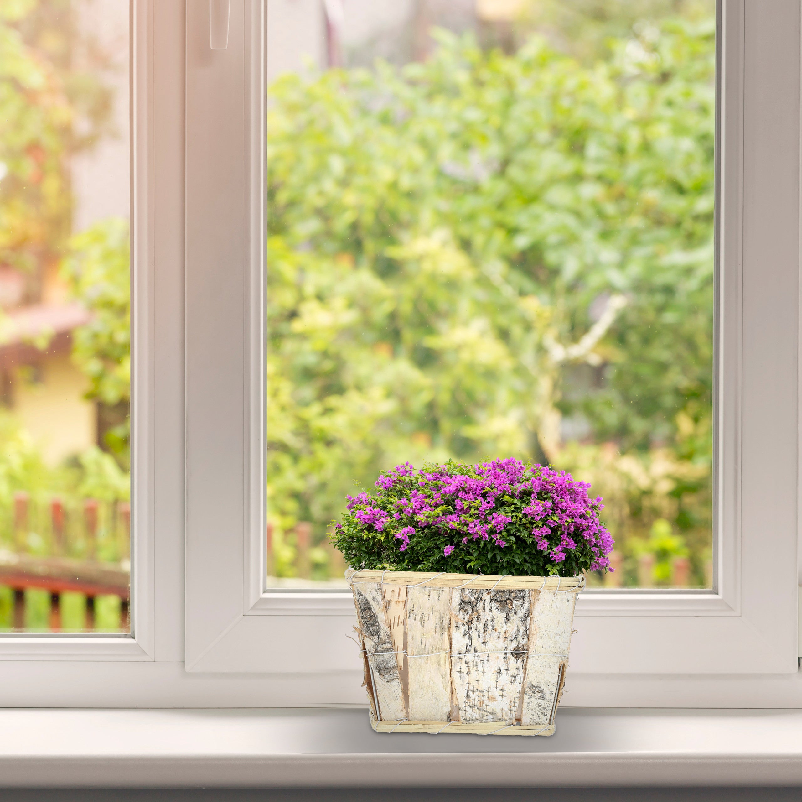 Vasi per Fiori, 4 Diverse Misure, Fioriere Quadrate con Corteccia di Betulla e Rivestimento, Bianco Naturale, Relaxdays - 5