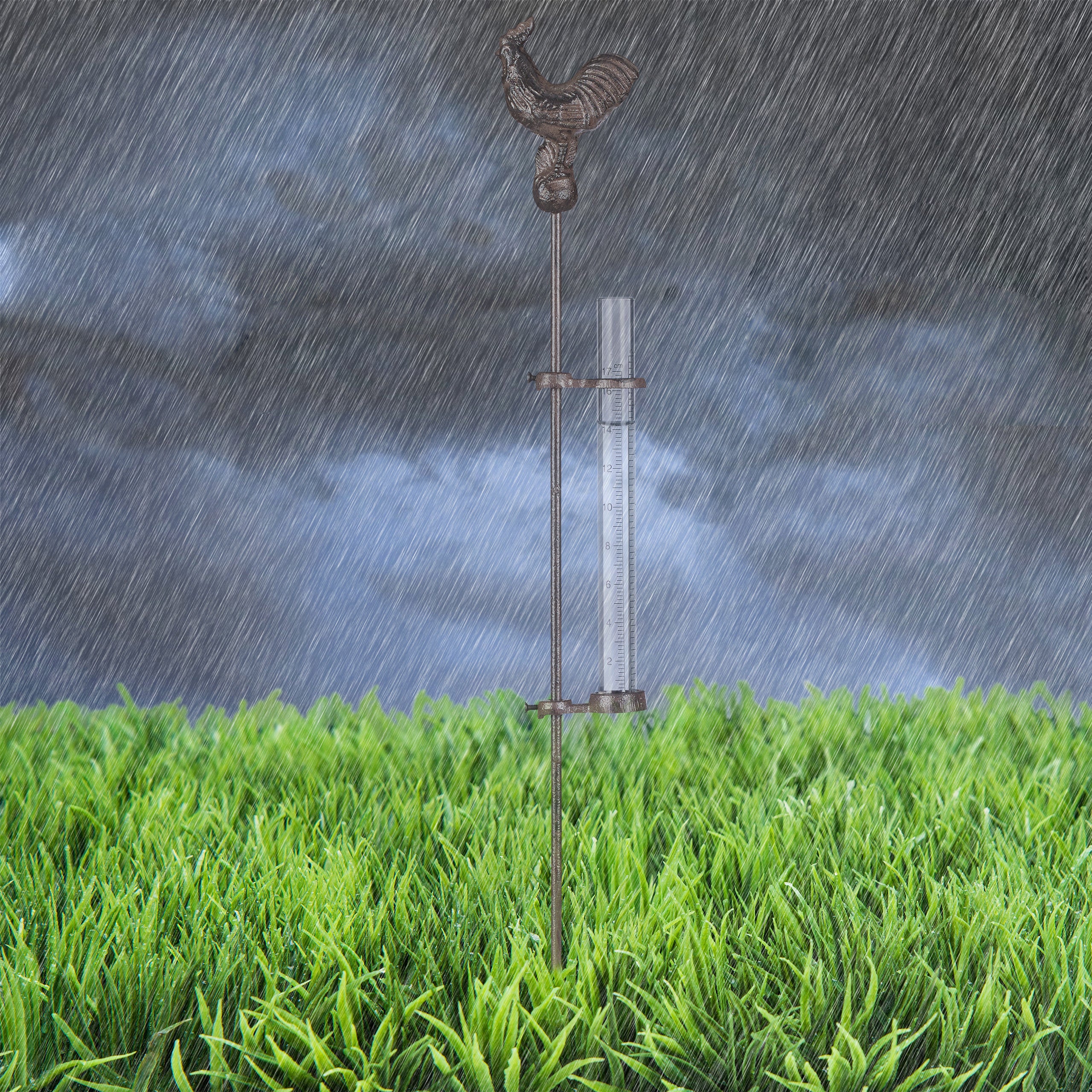 Pluviomètre décoration en métal, outil pour l'extérieur, coq, 17cm 7 pouces, piquet de terre, bronze, antigel, Relaxdays - 2