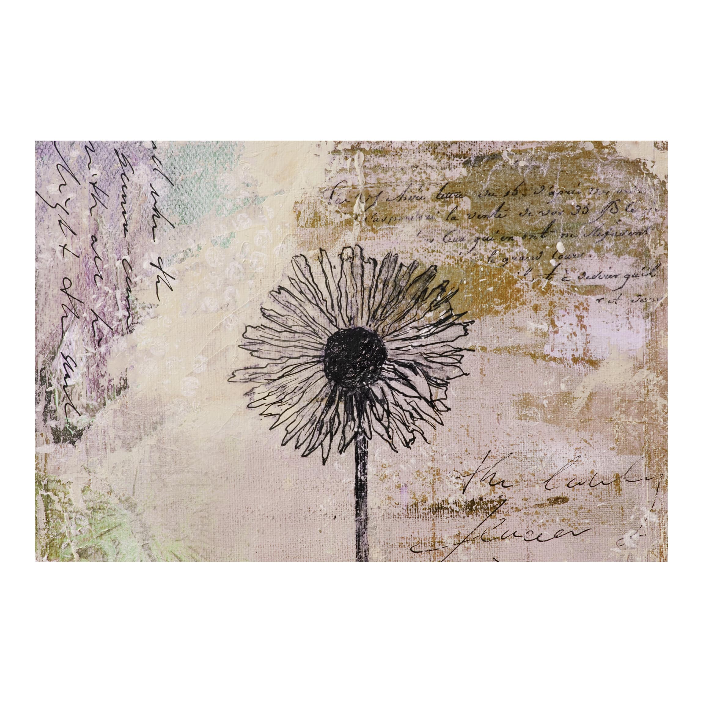 Papel pintado estampado flores estampado shabby chic diente de león 106 - salón dormitorio cocina pasillo - tnt 480 x 320 cm smart