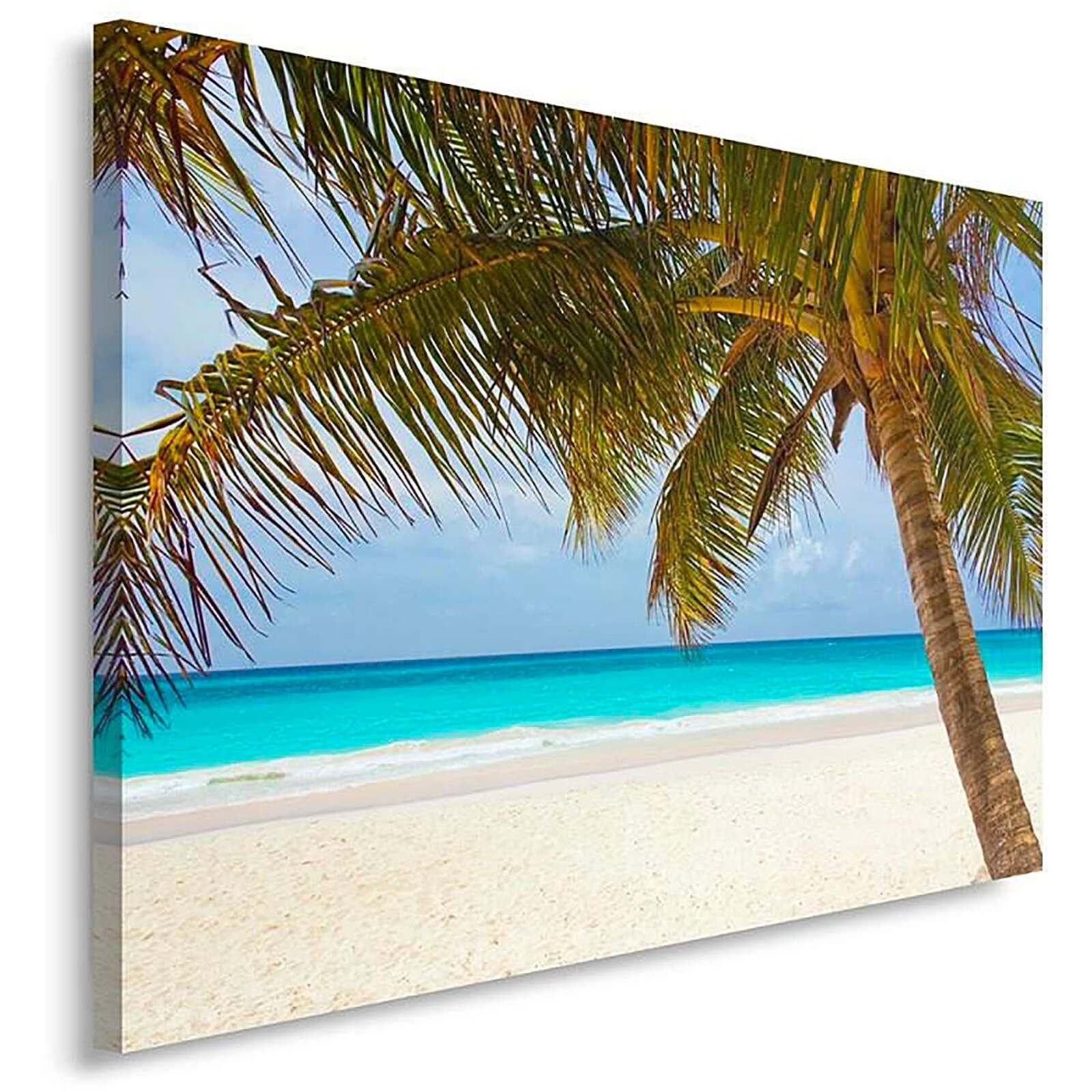 Tableau palmier sur la plage - 100 x 70 cm - 2