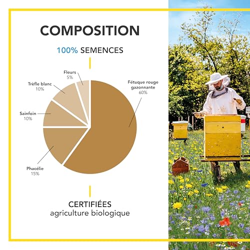 BARENBRUG - Mélange Pollinisateurs - Nectar et Pollen en Abondance - Attire Papillons et Insectes Pollinisateurs - Floraison Printemps/Été - 250G - 3