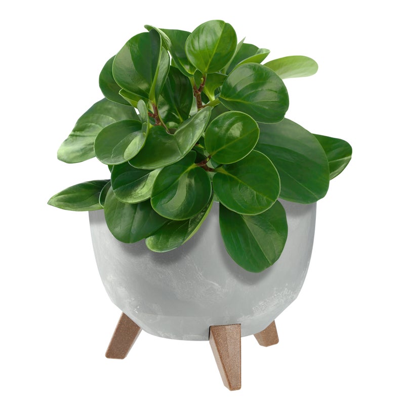 DONICZKA DONICA NA KWIATY 24cm OSŁONKA + WKŁAD NÓŻKI KOREK KWIETNIK SZARY