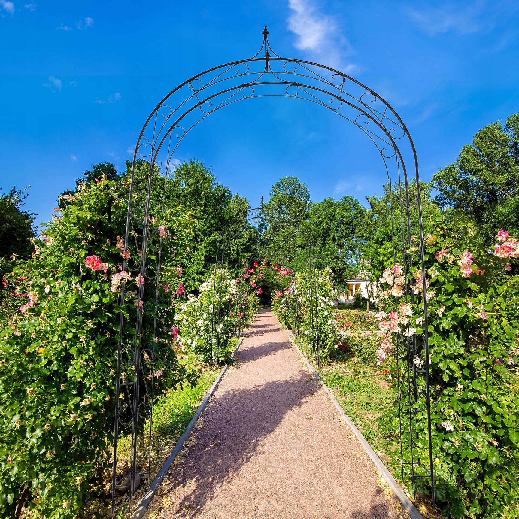 Arco Da Giardino In Metallo Per Piante Rampicanti - Decorazione Per Giardino, Terrazzo, Matrimoni