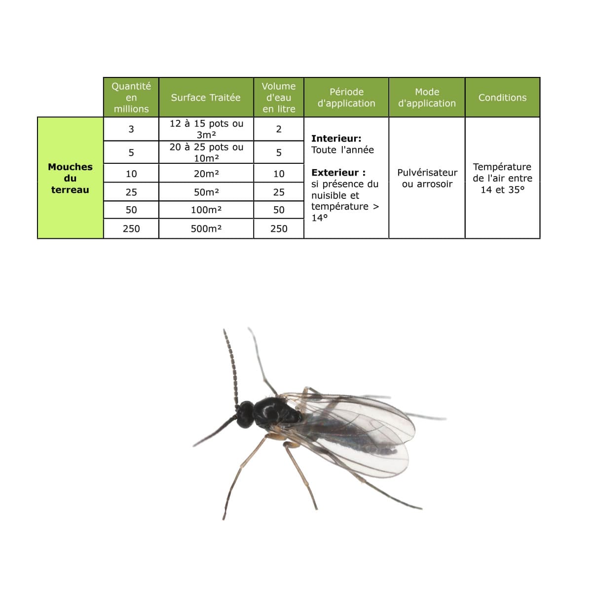 Solunéma - Nématodes contre la Mouche du Terreau - 3 millions Steinernema Feltiae - Traitement pour 12 à 15 pots - 4