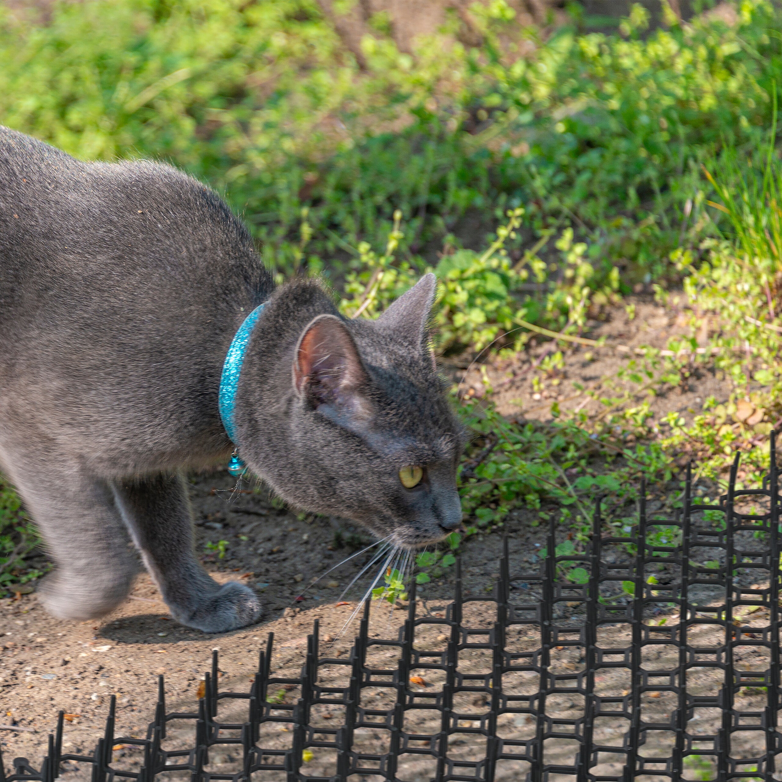 Spray Repellente Per Gatti Da 100 Ml, Per Interni Ed Esterni, Spray - copertina