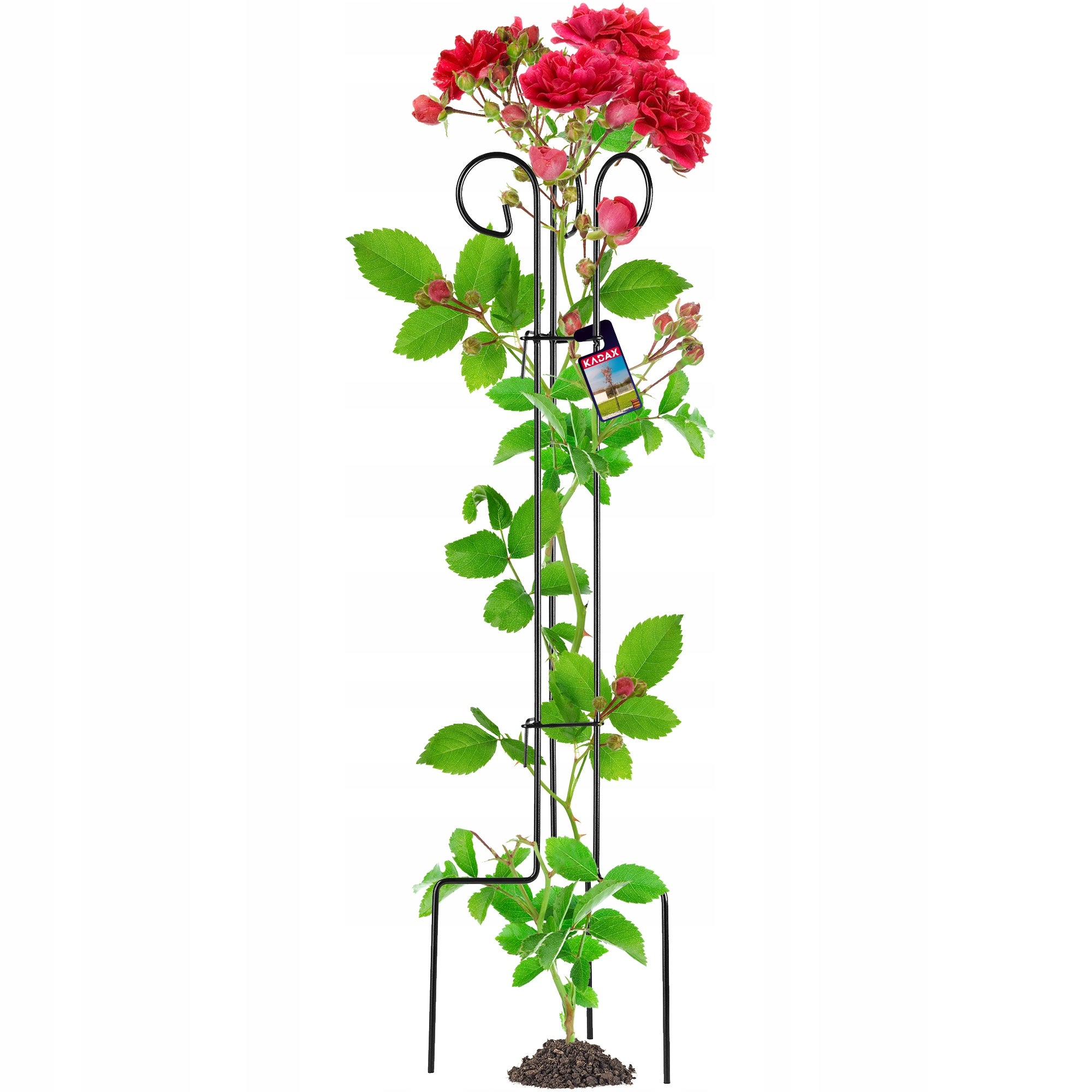 PODPORA DO ROŚLIN KWIATÓW RÓŻ METALOWA KWIETNIK NA KWIATY PODPÓRKA 120 cm