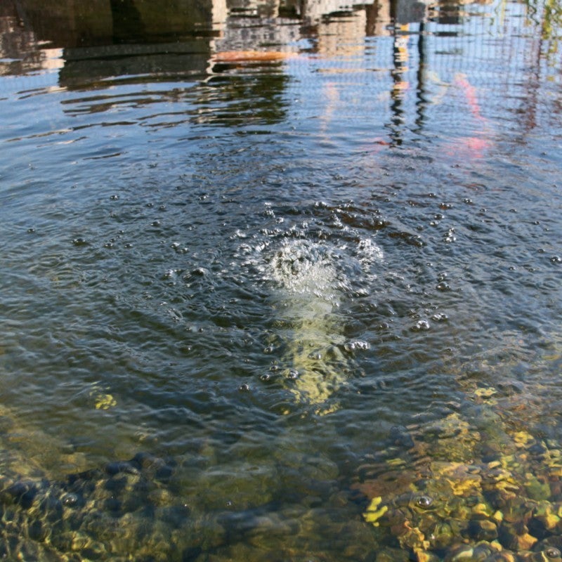 Oxygénateur solaire plan d'eau gros débit 600L-25W Pro - 3