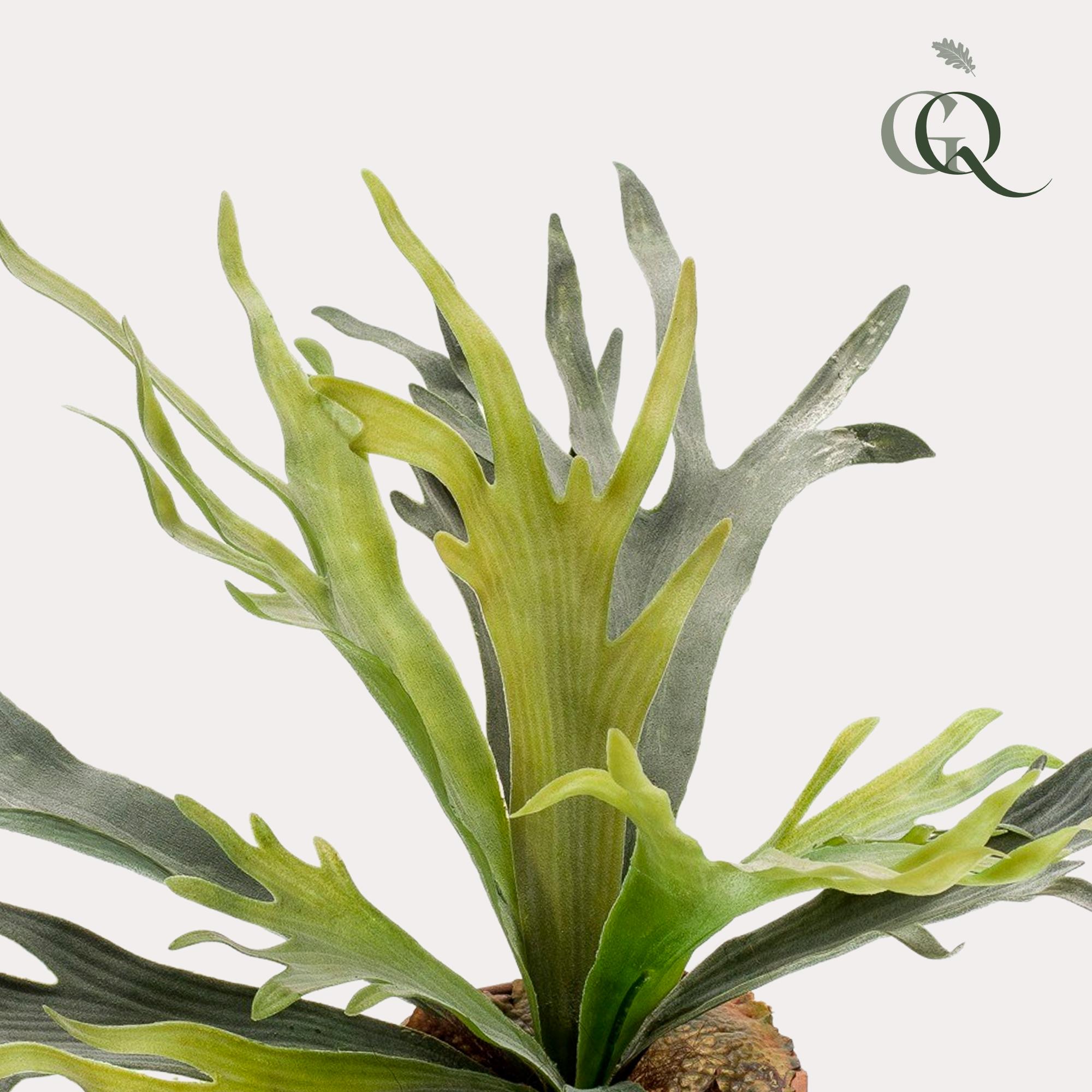 Sztuczna roślina Staghorn Fern 50 cm – Paproć jelenie rogi – Dekoracja wnętrz