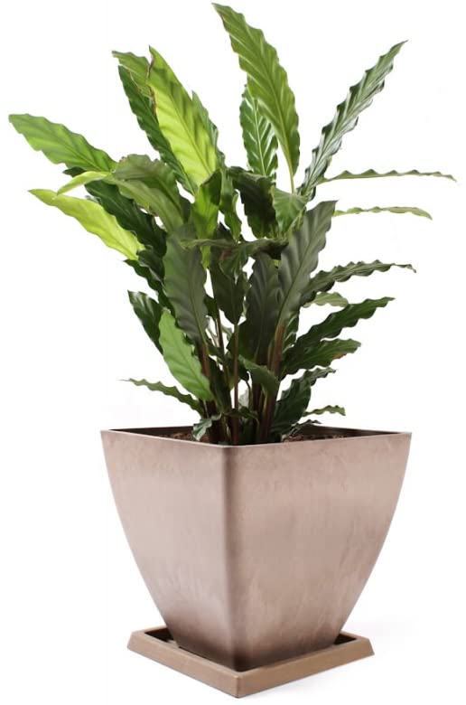 Doniczka donica ogrodowa osłonka mrozoodporna 30 - KOTARBAU