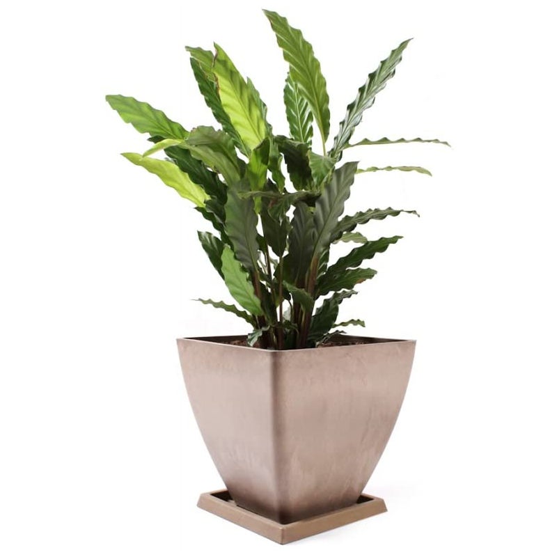 Doniczka donica ogrodowa osłonka mrozoodporna 30 - KOTARBAU