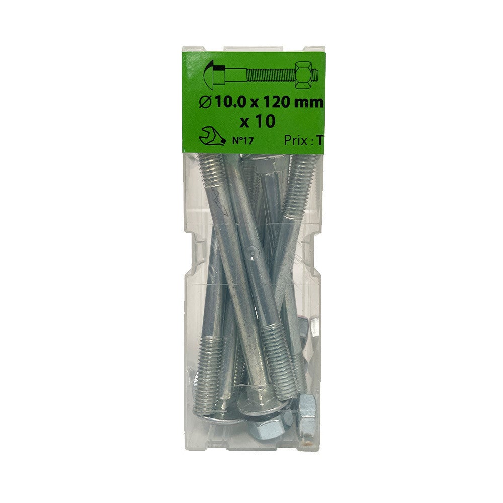 Boite 10 boulons TRCC 10 x 120mm zingué - Viswood | Leroy Merlin