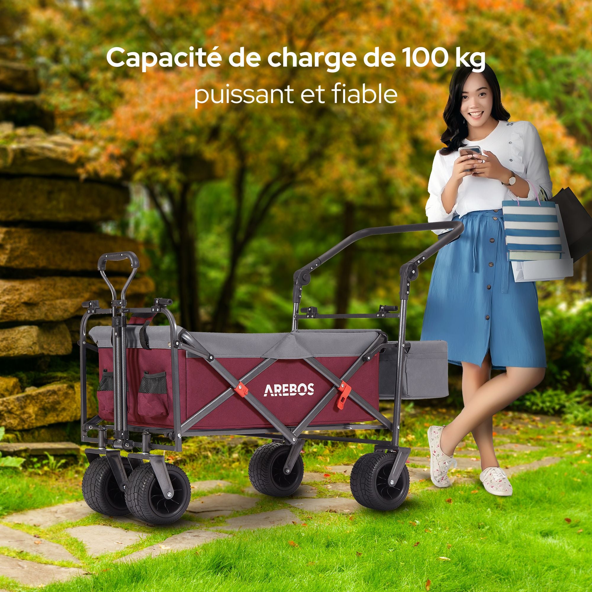 AREBOS Chariot de Transport Pliable avec Toit Chariot de Luxe Chariot de Transport capacité de Charge de 100 kg Rouge - 4